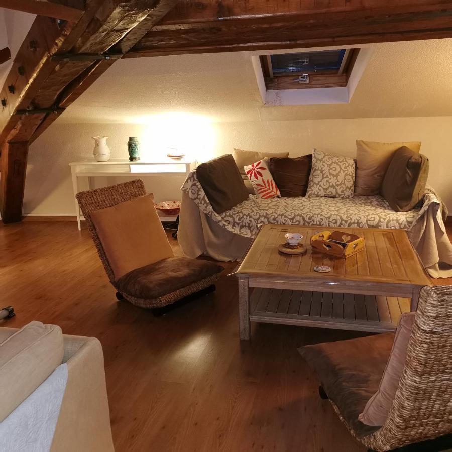 Cosy And Calm In Grenoble City Heart With Free And Large Parking Q-Park Chavant Dış mekan fotoğraf